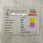 210/4-80 MM 55 GÖZ 200 METRE BEYAZ TUNANETS