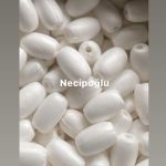 NO:4 YUMURTA BEYAZ KÖPÜK MANTAR 100 LÜ PAKET