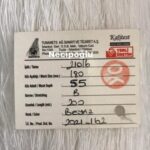 210/6-180 MM 55 GÖZ 200 METRE BEYAZ TUNANETS